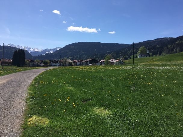 Kapelle Bolsterlang mit Löwenzahnwiese