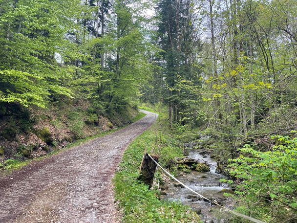 Abfahrt hinunter nach Schindelberg