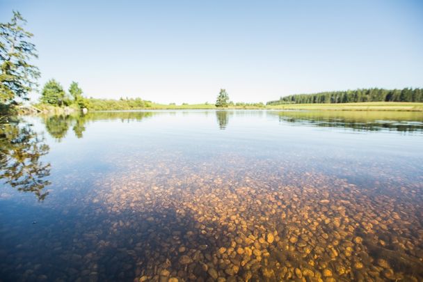 Kuhstallweiher