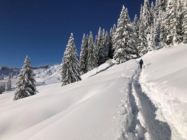 Von Grasgehren auf's Riedbergerhorn (1.787m)