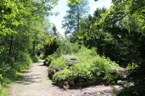 Alpengarten Pfronten