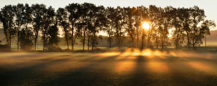 Leutkircher Sonnenaufgang