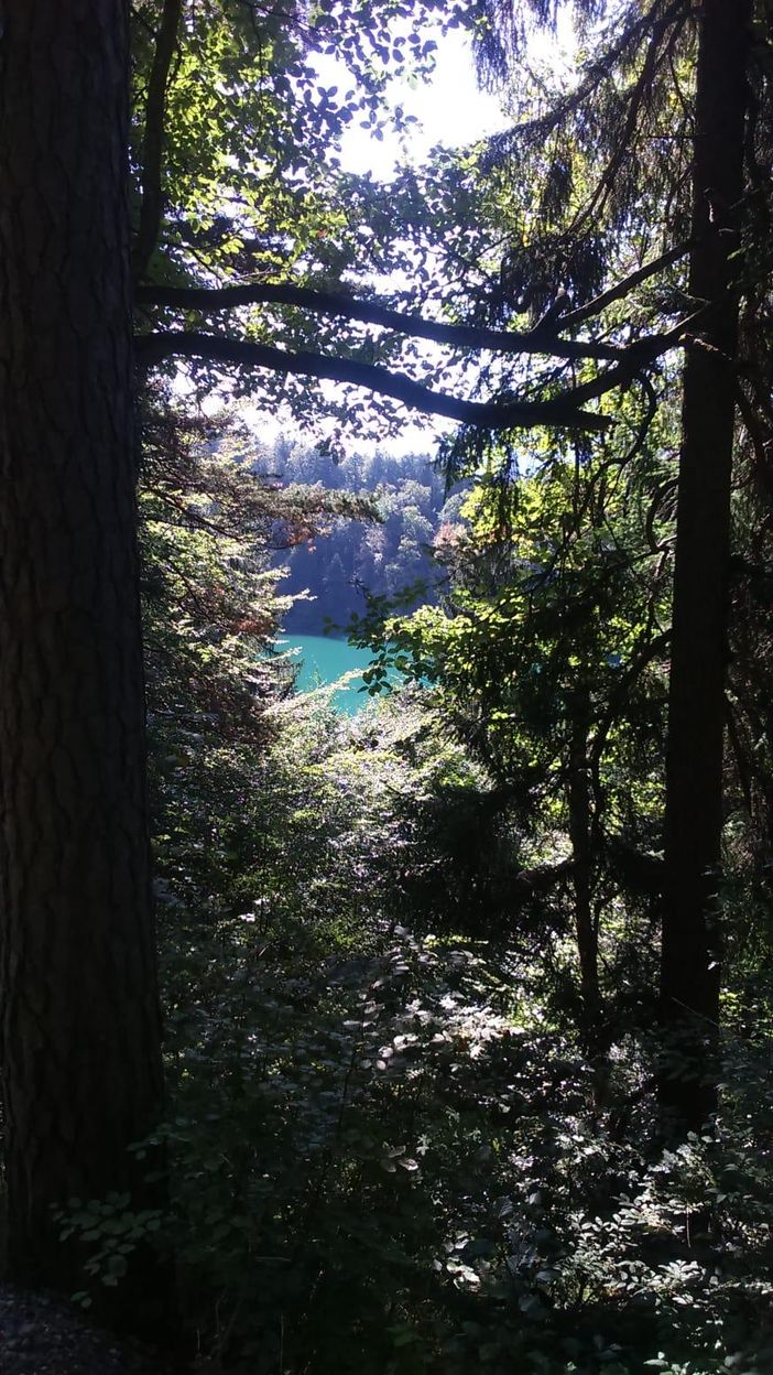 Wanderweg vom Alatsee zur Salober-Alm