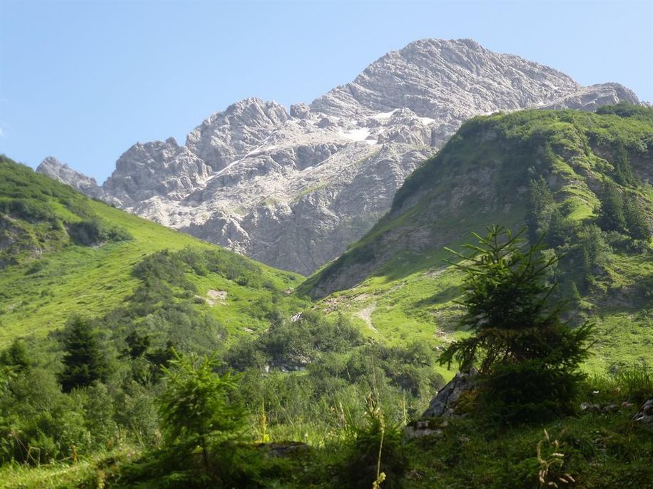 Bergblick im Rappenalptal