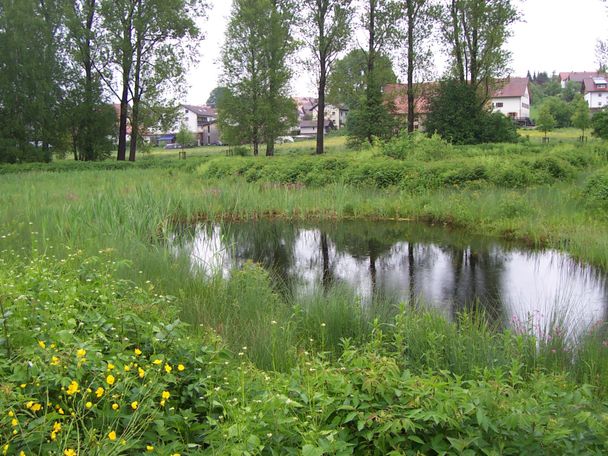 Hochwasserschutz im Angermoos