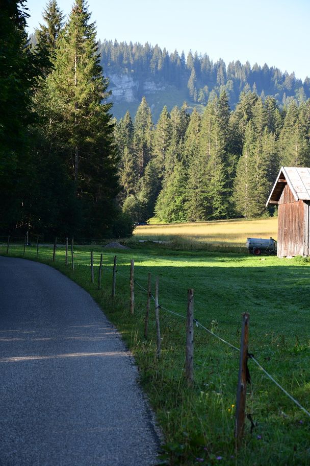 Streuwiesen in der Scheue