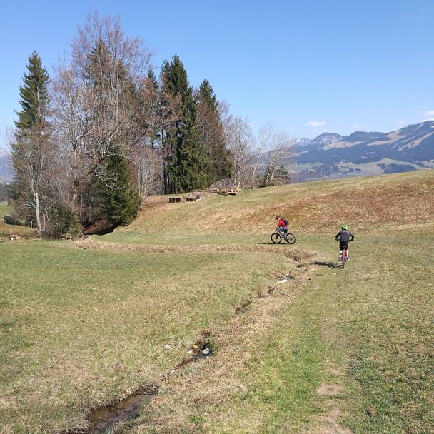 Feldweg zum Bergblickweg