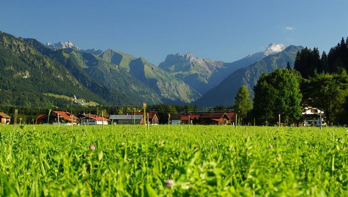 Langenwang vor den Allgäuer Hochalpen