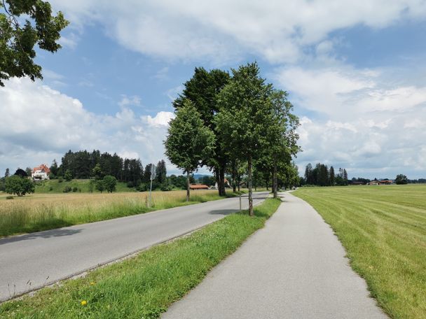 Weg zurück in Richtung Schwangau