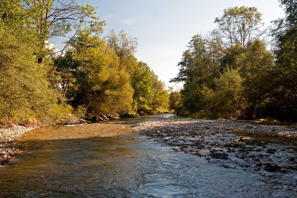 Untere Argen bei Isny-Neutrauchburg