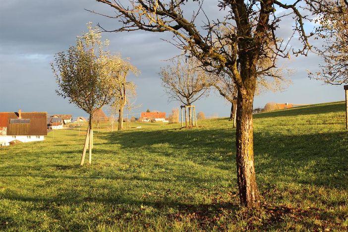 Ferienwohnung Rupp Allgäu