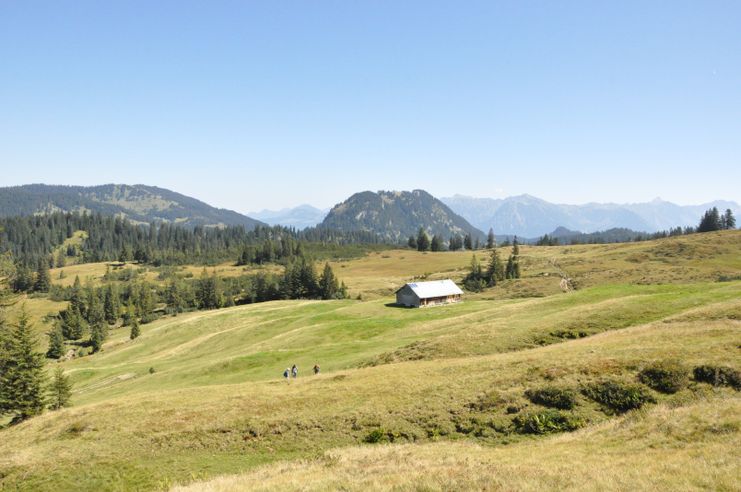 Sicht am Piesenkopf