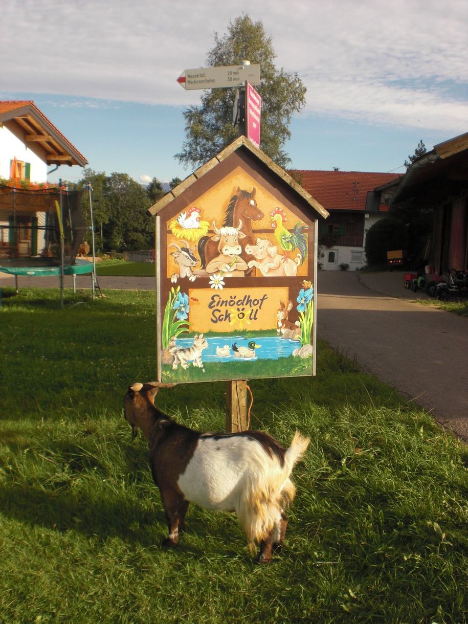 Herzliches Grüß Gott auf dem Einödhof Schöll