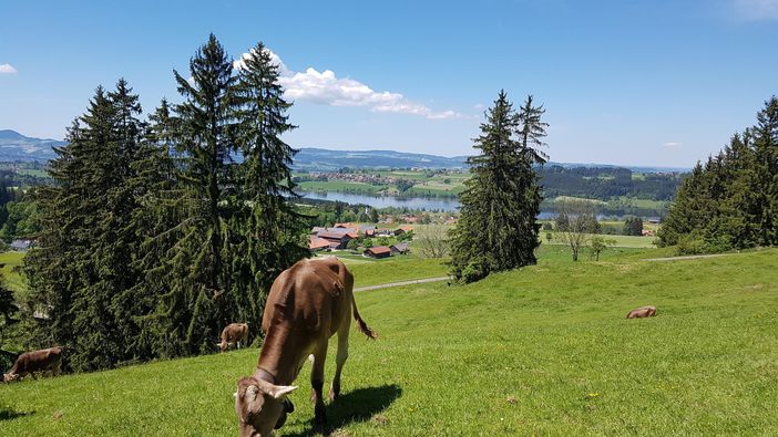 Rottachsee 3km Entfernung