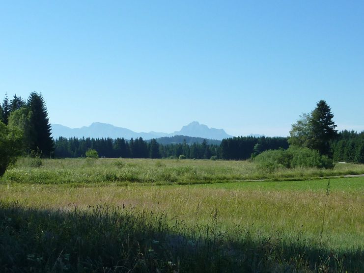 Am Stöttener Moor