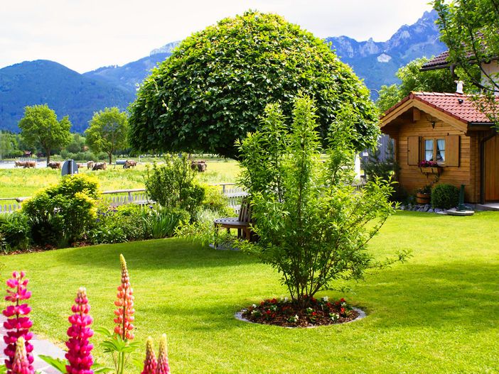 Ferienhaus Hohenadl - Blockhütte im Garten