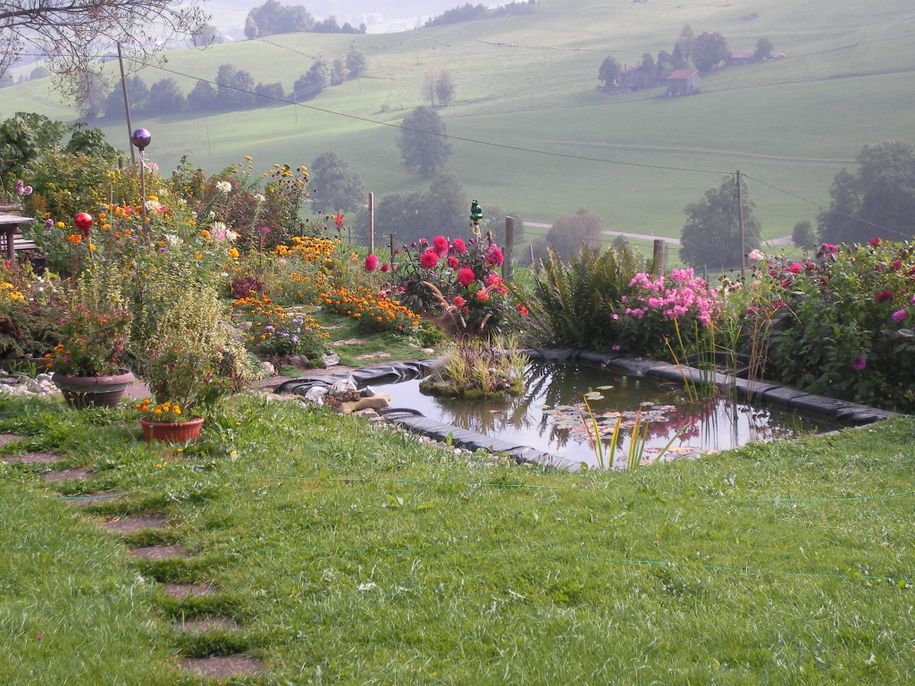 Teich mit Seerosen