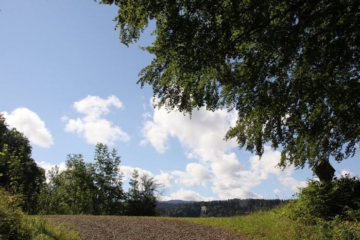 Wiederhofen-Trähers Alpe-Hirnbeinalpe-Schwandeck-Ochsenberg Alpe-Hofalpe-Geratsried-Wiederhofen