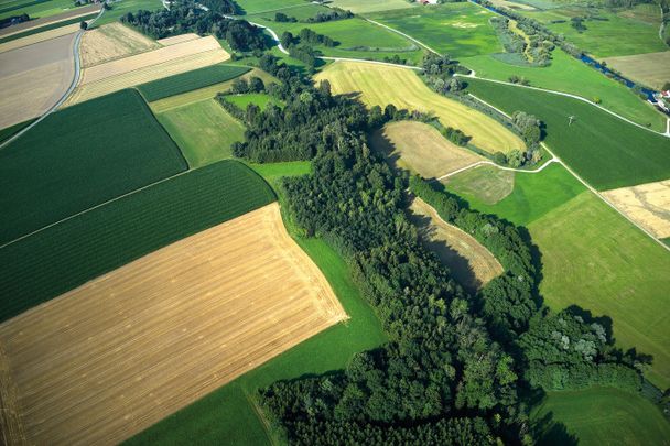 Glückskraft-Weg - Wasser spüren