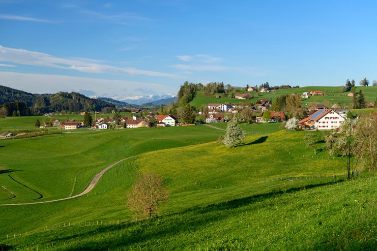 Blick von Vorholz auf Maierhöfen