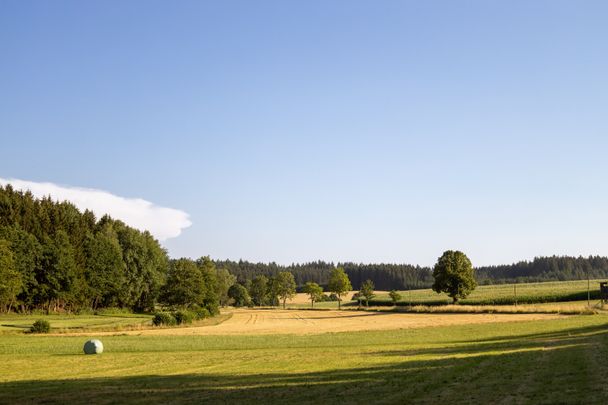 Landschaft_Zusamtal