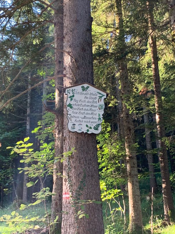 Hinweisschild zum Wald