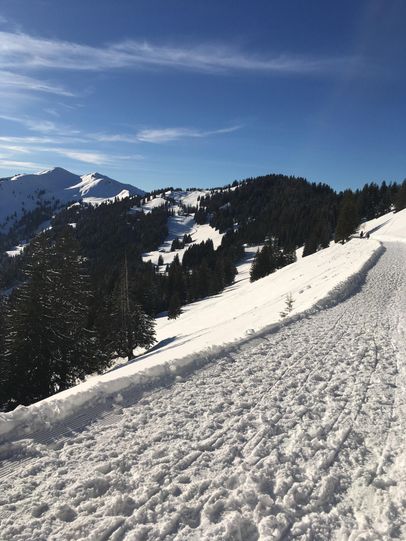 Gewalzter Winterwanderweg an der Hörnerbahn