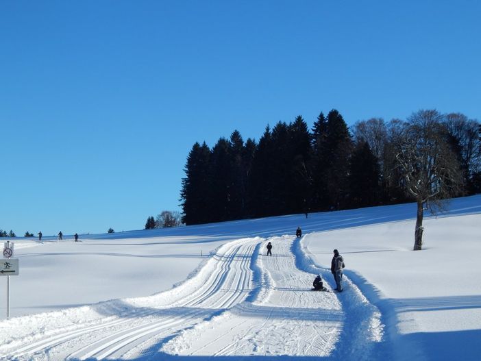 Obersteiner Loipe