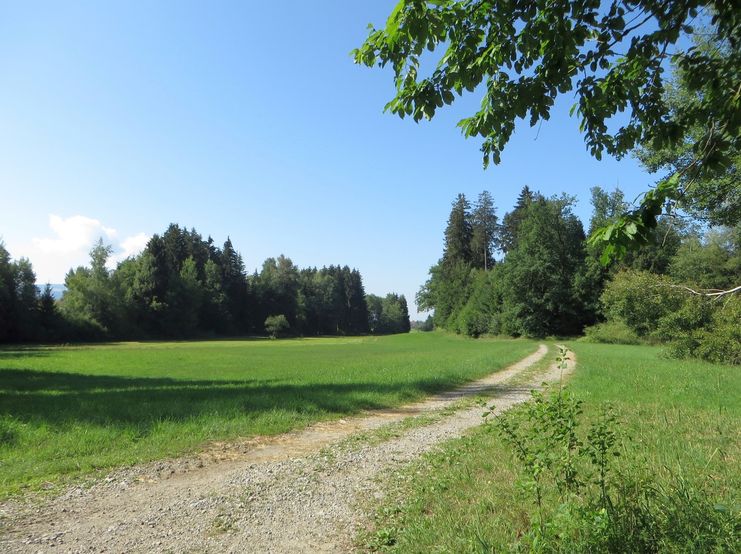 Wanderrundweg 9: "Von Untermooweiler zur Marienkapelle und durchs Tegernmoos"