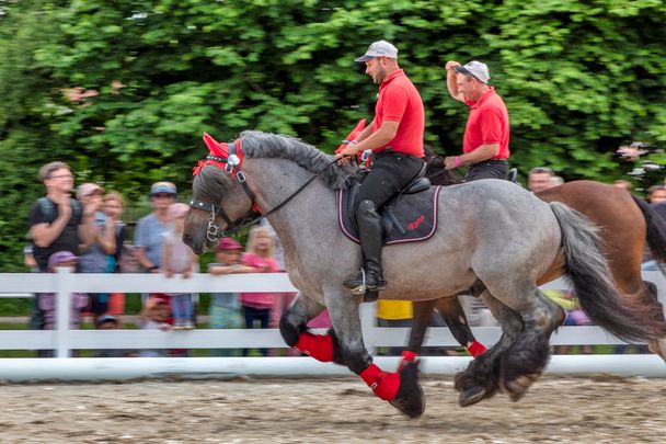 In der Reitarena