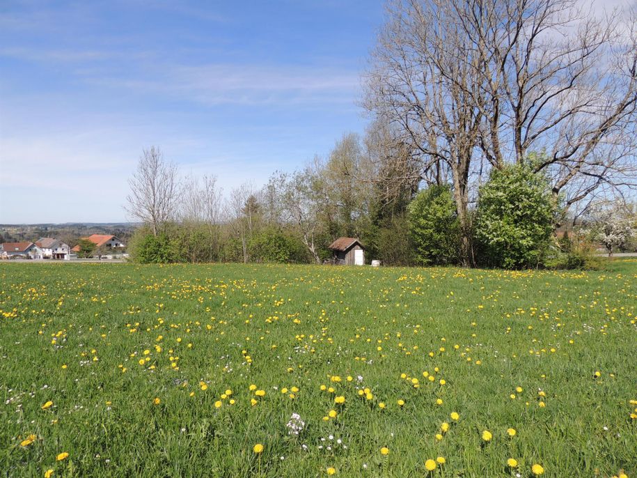 Unser Bienenhäuschen