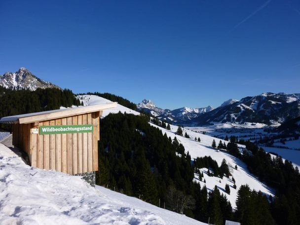 Wildtierbeobachtungsstand bei der Oberen Halde