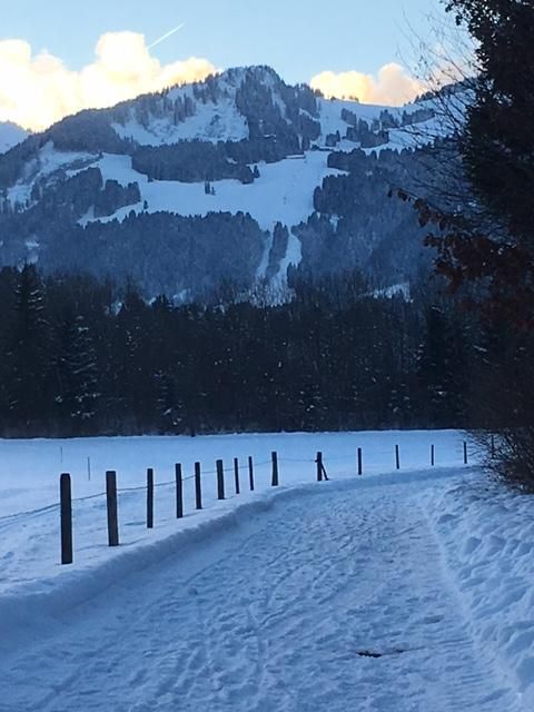 Blick Hoernerbahn1