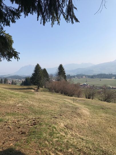 Wiesenweg nach Sonderdorf