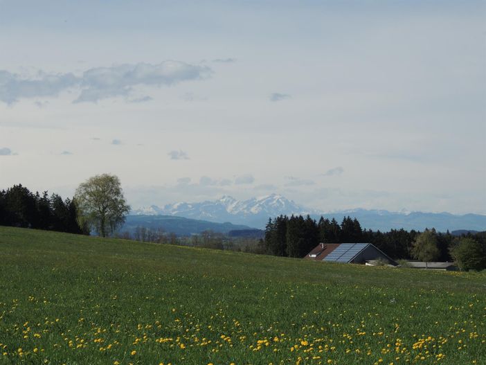 Aussicht vom Weg auf Gumpeltshofer Höhe