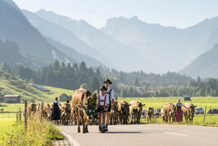 Viehscheid in Schöllang und Oberstdorf