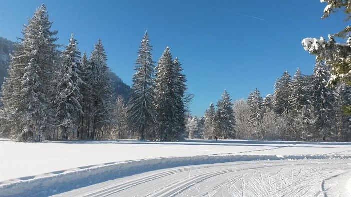 Loipe am Schwansee in der Nähe