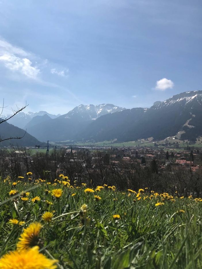 Ausblick Blumenwiese