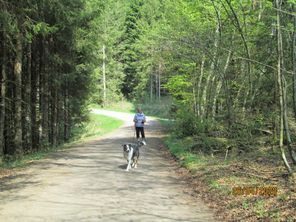 Wanderwege im Hopferwald