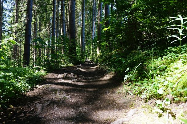 Logenplatz-Route