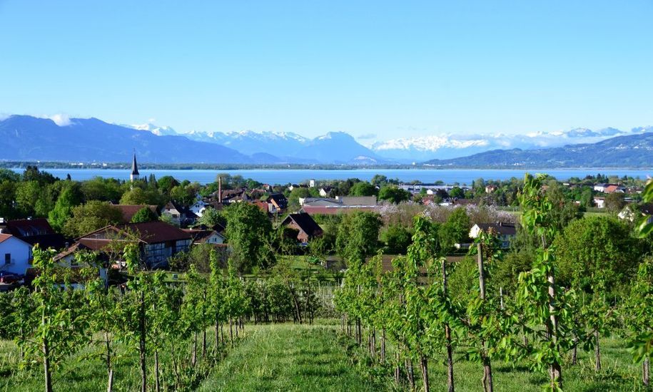 Bodenseepanorama und Rheintal