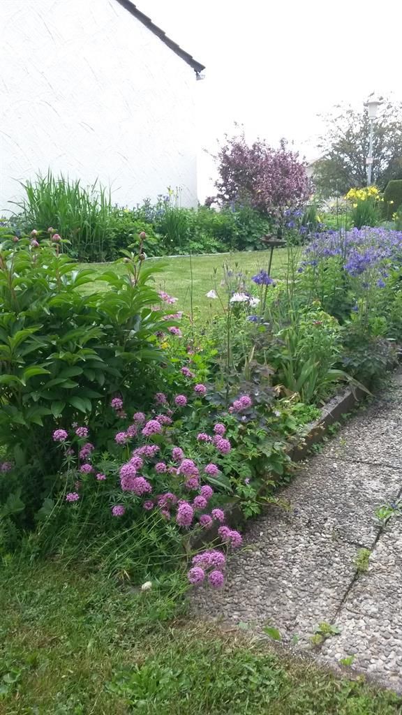 Ferienwohnung Günter Tytschkowski im Garten