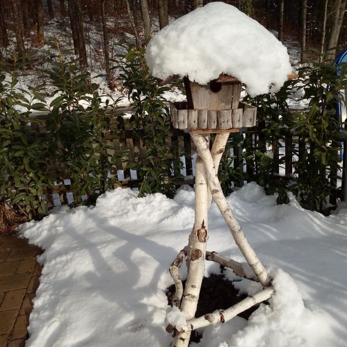 Vogelhäuschen in unserem Garten