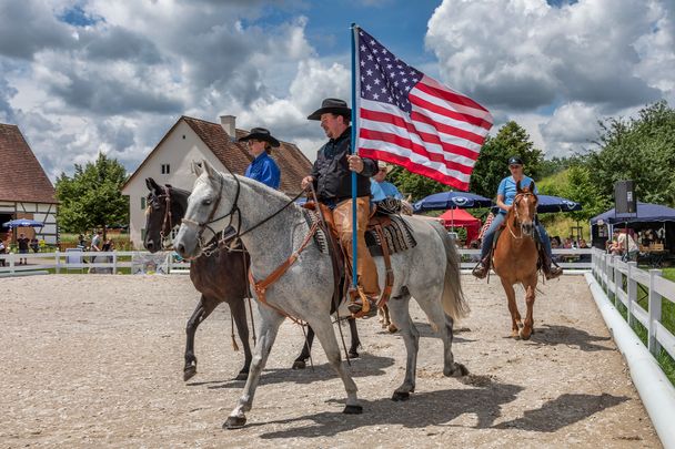 Missouri Foxtrotter