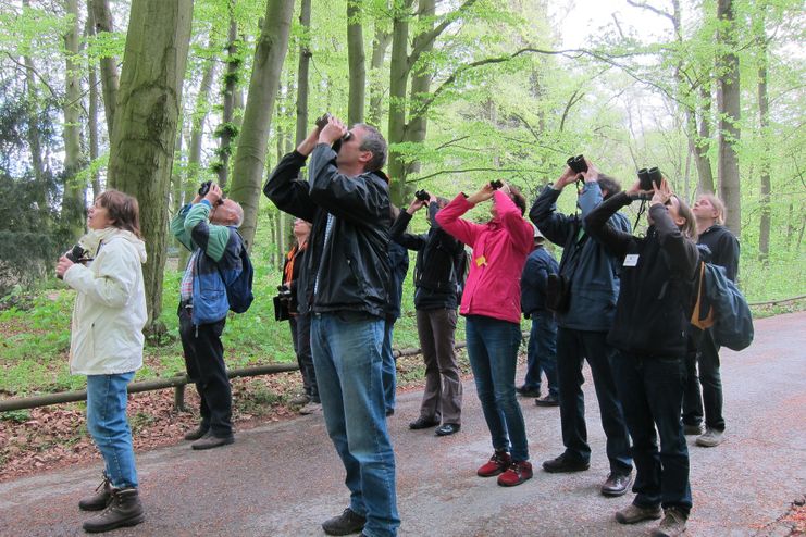 LBV Vogelbeobachtung