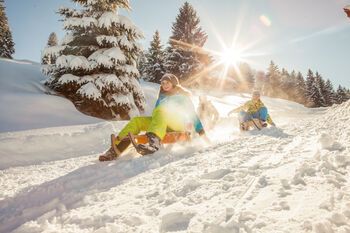 Winterbilder Alpsee Bergwelt_1