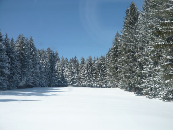 Winterlandschaft an der Loipe Eschach (5)