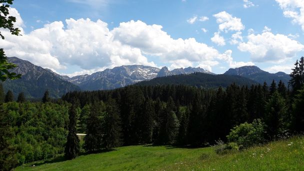 Am Buchenbergweg