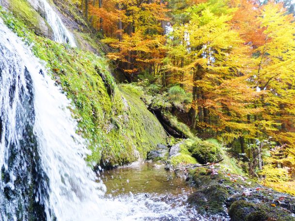 Kulinarische Genusstour durch das Steigbachtal