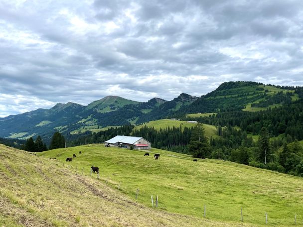 Vom Imberg mit Blick ins Ehrenschwanger Tal und die Nagelfluhkette